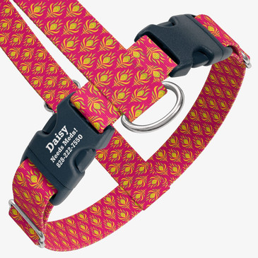 closeup view of harness with personalized buckle