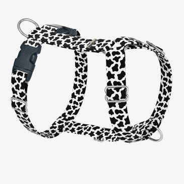 front view of harness