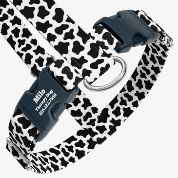 closeup view of harness with personalized buckle