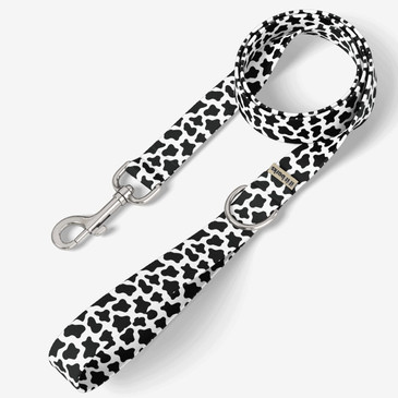 front view of leash