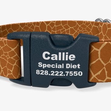 closeup of buckle personalization