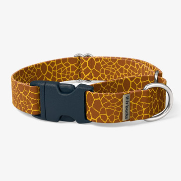 front view of collar