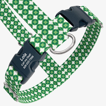 closeup view of harness with personalized buckle