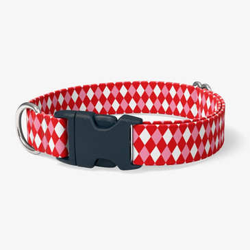 image of front of collar.