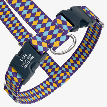closeup view of harness with personalized buckle