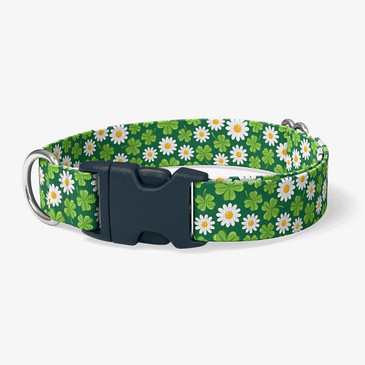 image of front of collar.