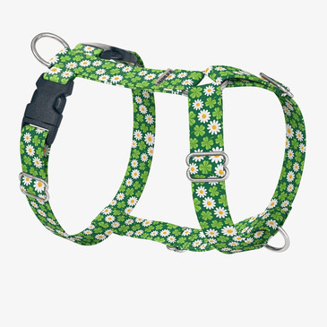 front view of harness