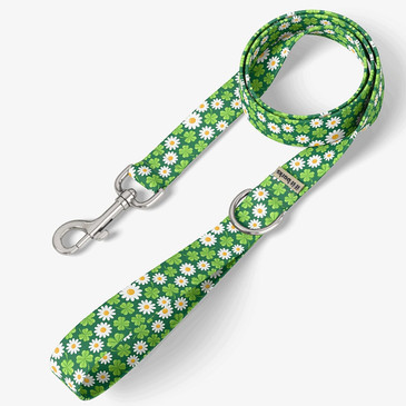 front view of leash
