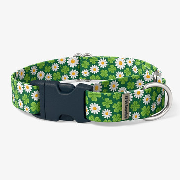 front view of collar