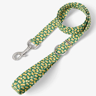 front view of leash