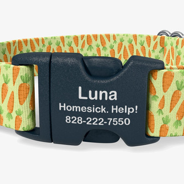 closeup of buckle personalization