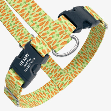closeup view of harness with personalized buckle