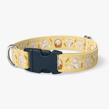 image of front of collar.