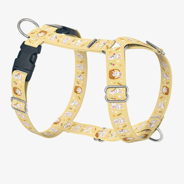 front view of harness