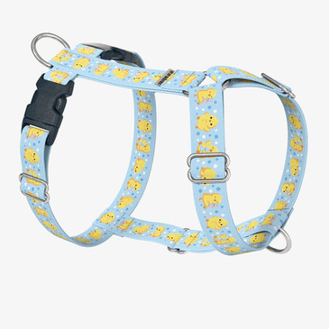 front view of harness