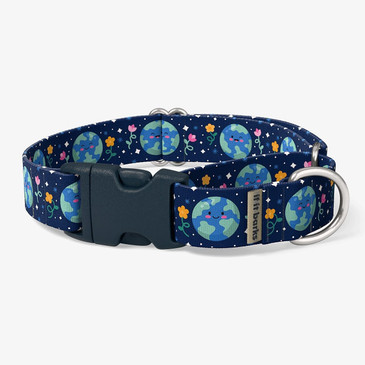 front view of collar