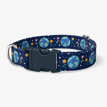 image of front of collar.