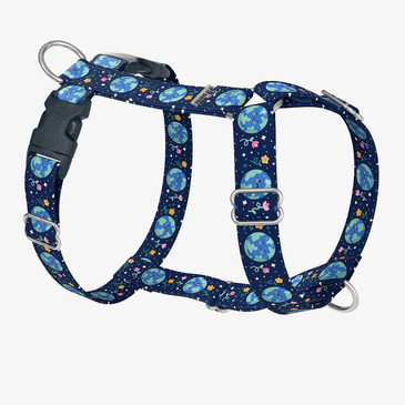 front view of harness