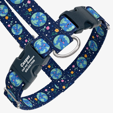closeup view of harness with personalized buckle