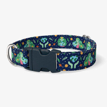 image of front of collar.