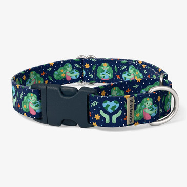 front view of collar