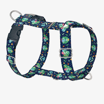 front view of harness