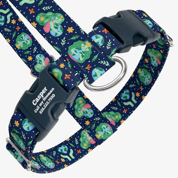 closeup view of harness with personalized buckle
