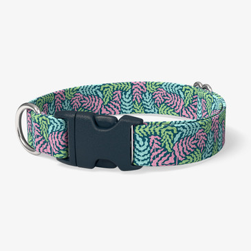 image of front of collar.