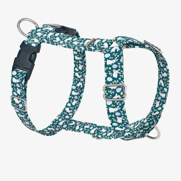 front view of harness