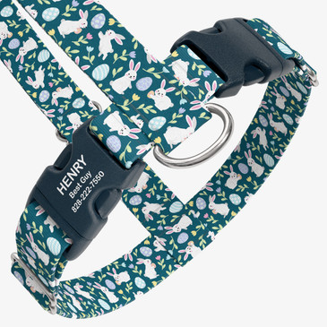 closeup view of harness with personalized buckle