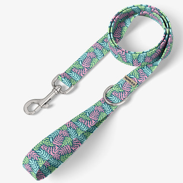 front view of leash
