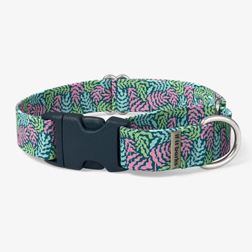 front view of collar