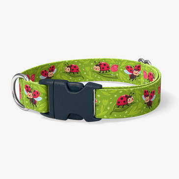 image of front of collar.