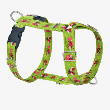 front view of harness