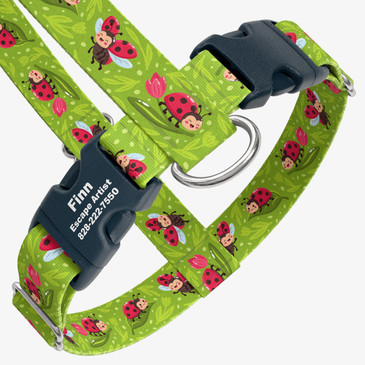 closeup view of harness with personalized buckle