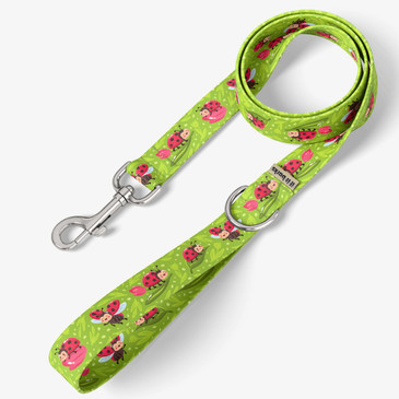front view of leash
