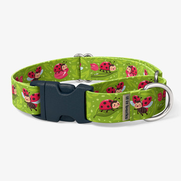 front view of collar