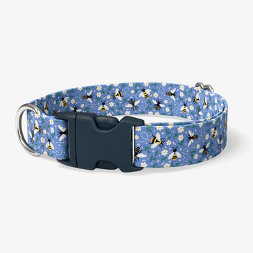 image of front of collar.