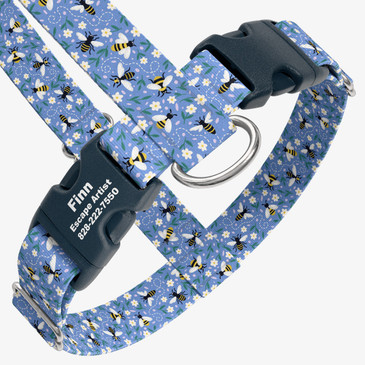 closeup view of harness with personalized buckle