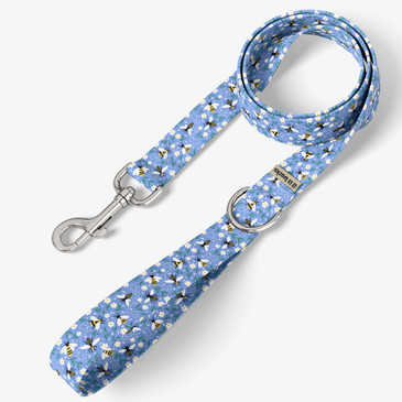 front view of leash