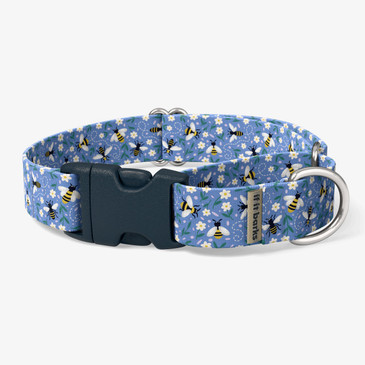 front view of collar