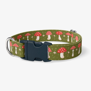 image of front of collar.