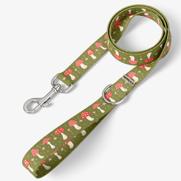 front view of leash