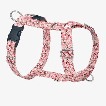 front view of harness