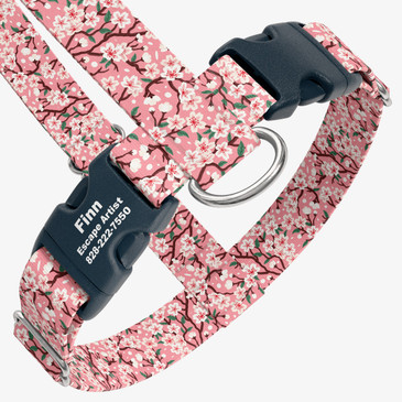 closeup view of harness with personalized buckle