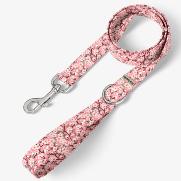 front view of leash