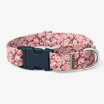 front view of collar
