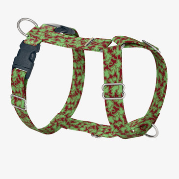 front view of harness