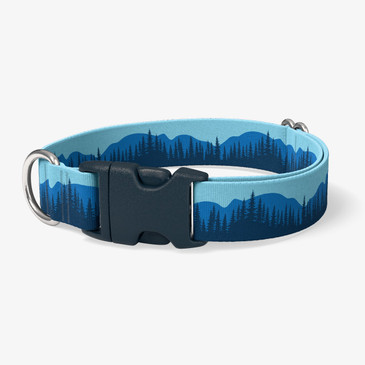 image of front of collar.