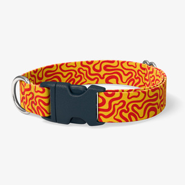 image of front of collar.